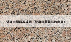 梵凈山蘑菇石成因（梵凈山蘑菇石的由來）