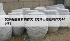 梵凈山蘑菇石的作文（梵凈山蘑菇石作文400字）