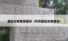 蘑菇石哪里質量好（天然蘑菇石哪里有）
