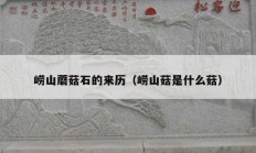 嶗山蘑菇石的來歷（嶗山菇是什么菇）