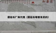 蘑菇石廠商代理（蘑菇石哪里有賣(mài)的）