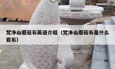 梵凈山蘑菇石英語介紹（梵凈山蘑菇石是什么巖石）